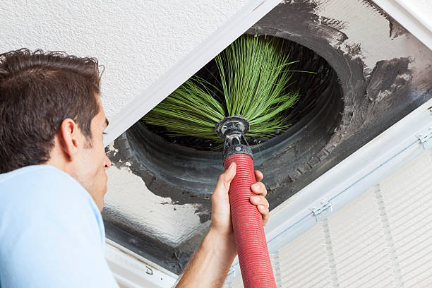 Air Duct Mold Removal in Pflugerville, TX